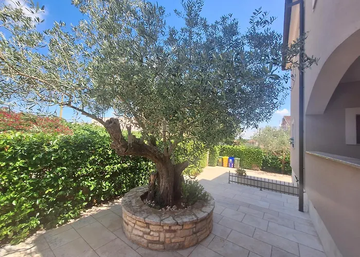 Gostinjska kuća And Marlen 3*